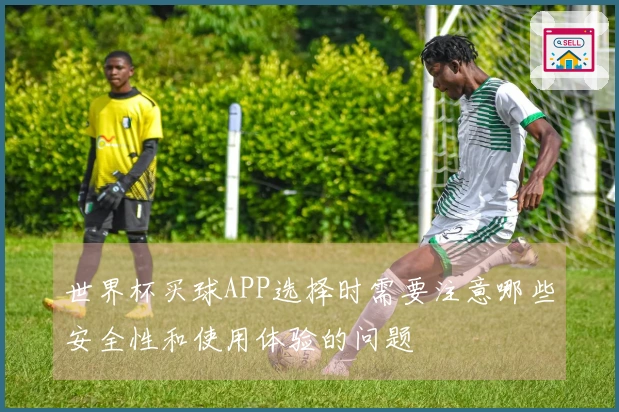世界杯买球APP选择时需要注意哪些安全性和使用体验的问题