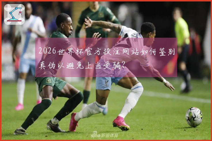 2026世界杯官方投注网站如何鉴别真伪以避免上当受骗？